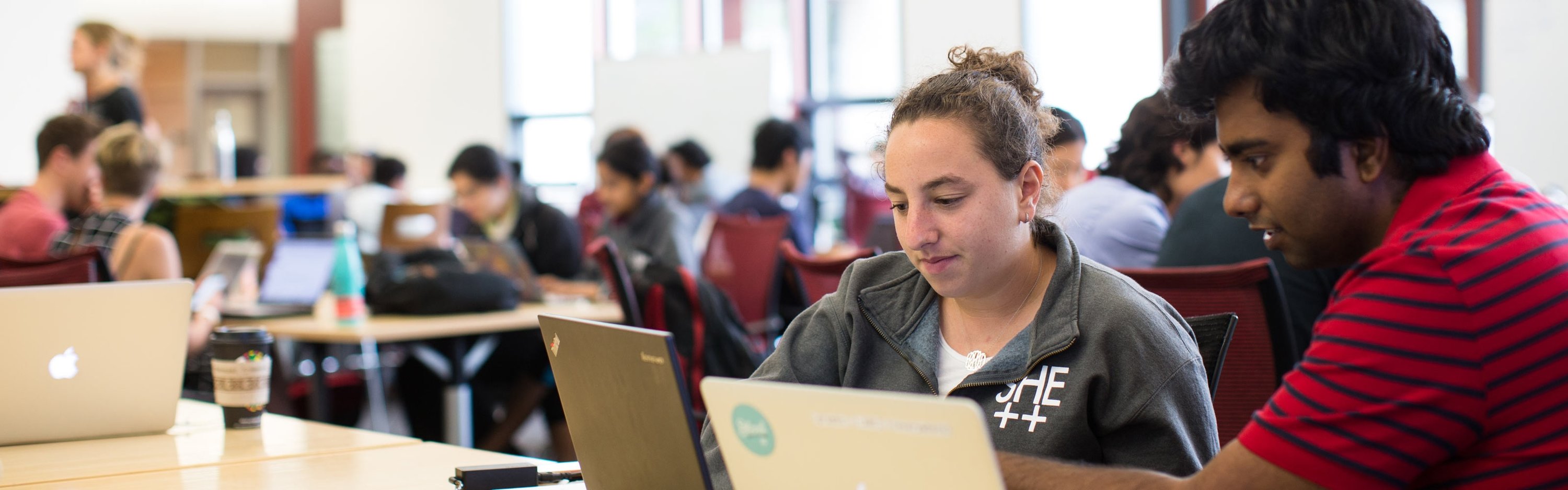 Two students looking at their laptops