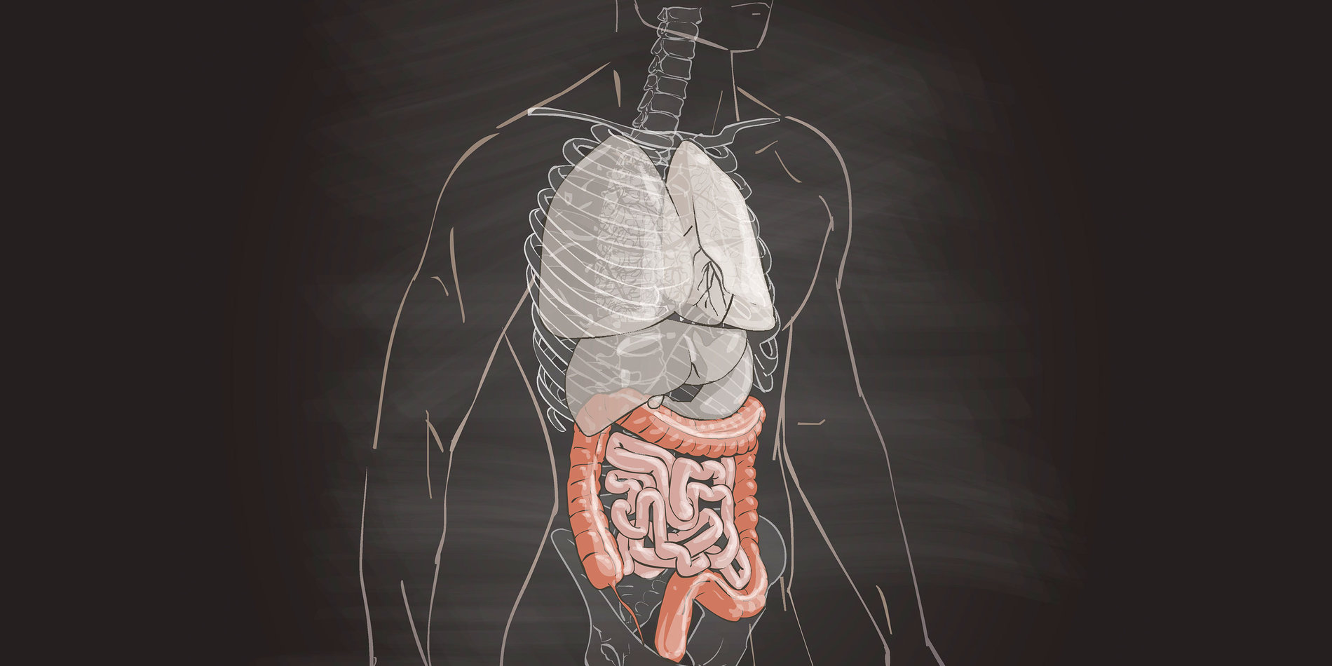 
Colorectal cancer is the second leading cause of cancer deaths in the U.S. due in part to lack of screening. | iStock/Ivanna Olijnyk