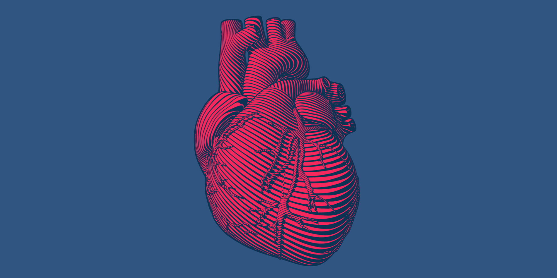 
What if surgeons could simulate complex heart surgeries on a computer before getting to the operating room? | iStock/Jolygon