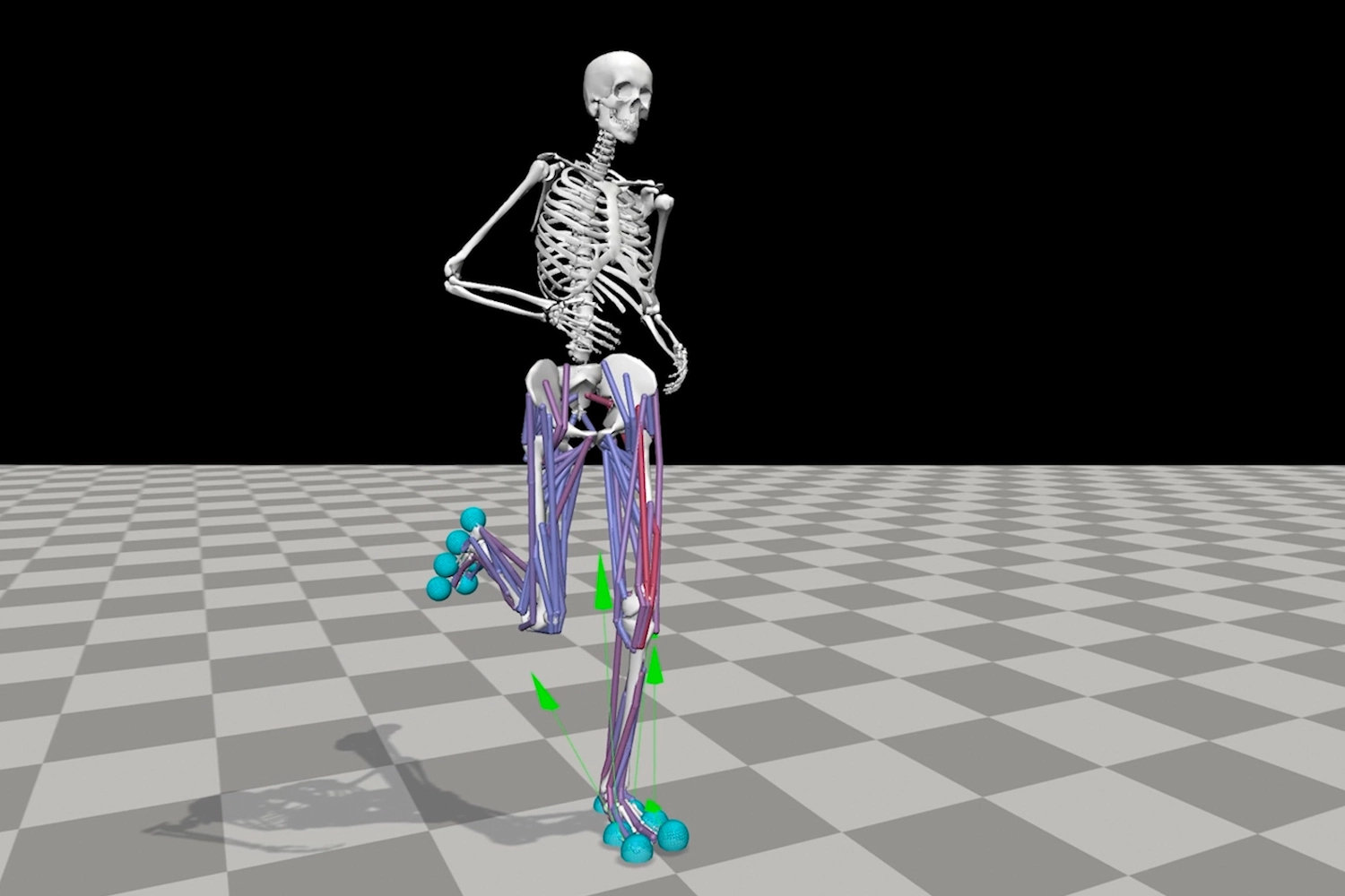 Color-coded musculoskeletal system depicting the underlying forces that result from movement.